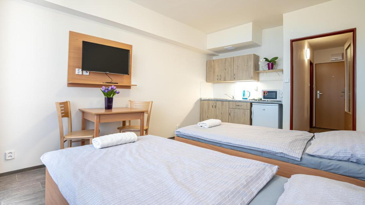 Apartmany A Studia Zamecky Park Литвинов Экстерьер фото