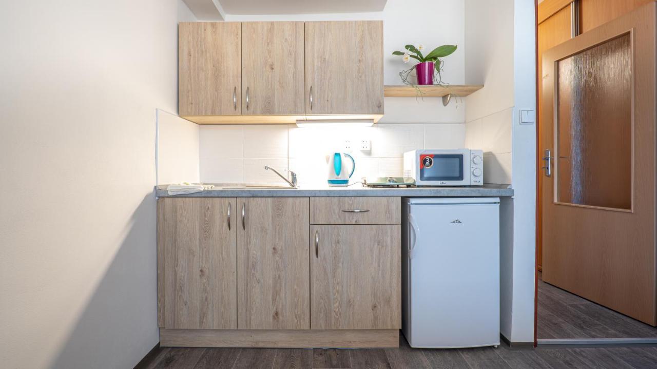 Apartmany A Studia Zamecky Park Литвинов Экстерьер фото